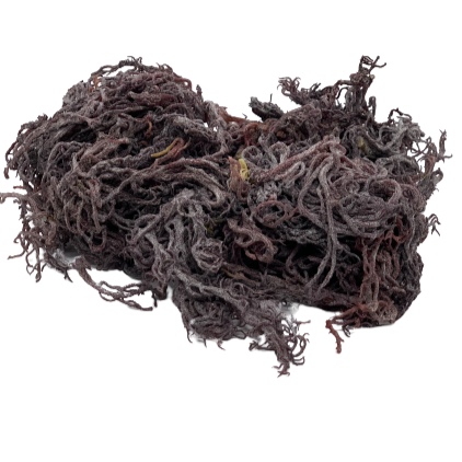 Purple Wild Crafted Sea Moss
